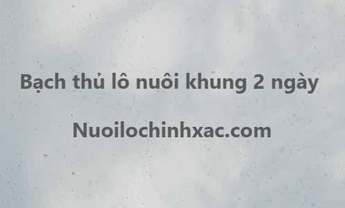Bạch thủ nuôi khung 2 ngày