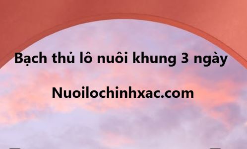 Bạch thủ nuôi khung 3 ngày
