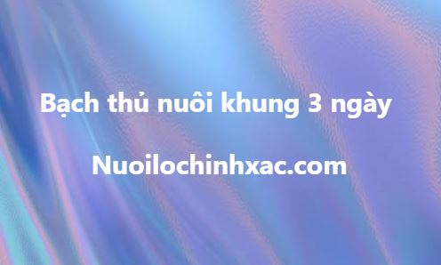 Bạch thủ nuôi khung 3 ngày