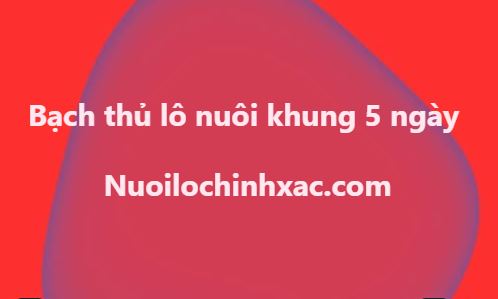 Bạch thủ nuôi khung 5 ngày