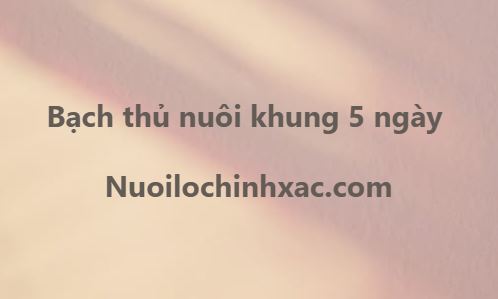 Bạch thủ nuôi khung 5 ngày