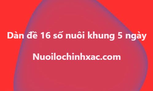 Dàn đề 16 số nuôi khung 5 ngày