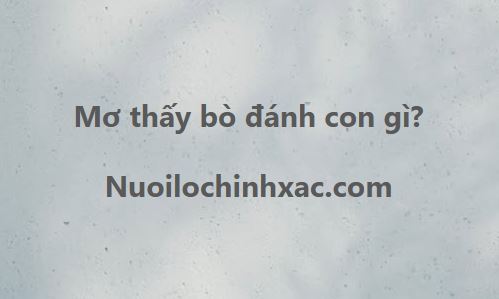 Mơ thấy bò đánh con gì