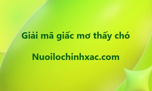 Mơ thấy chó đánh con gì