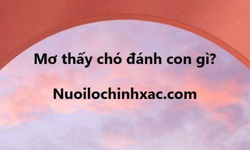 Mơ thấy chó đánh con gì
