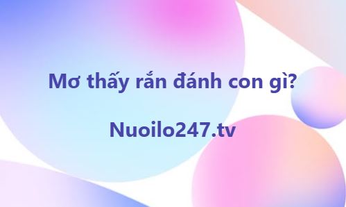 Mơ thấy rắn đánh con gì