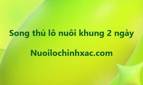 Song thủ nuôi khung 2 ngày