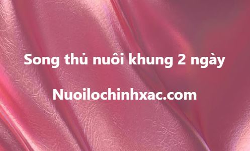 Song thủ nuôi khung 2 ngày