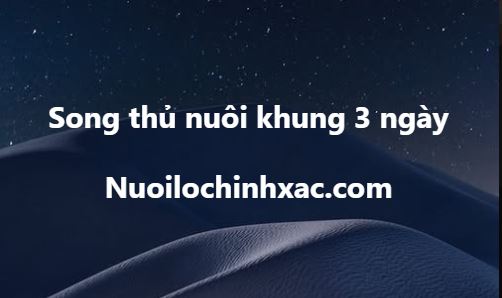 Song thủ nuôi khung 3 ngày
