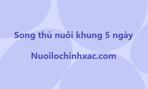 Song thủ nuôi khung 5 ngày